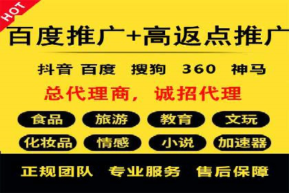 Sem优化公司案例：精准广告投放策略解析